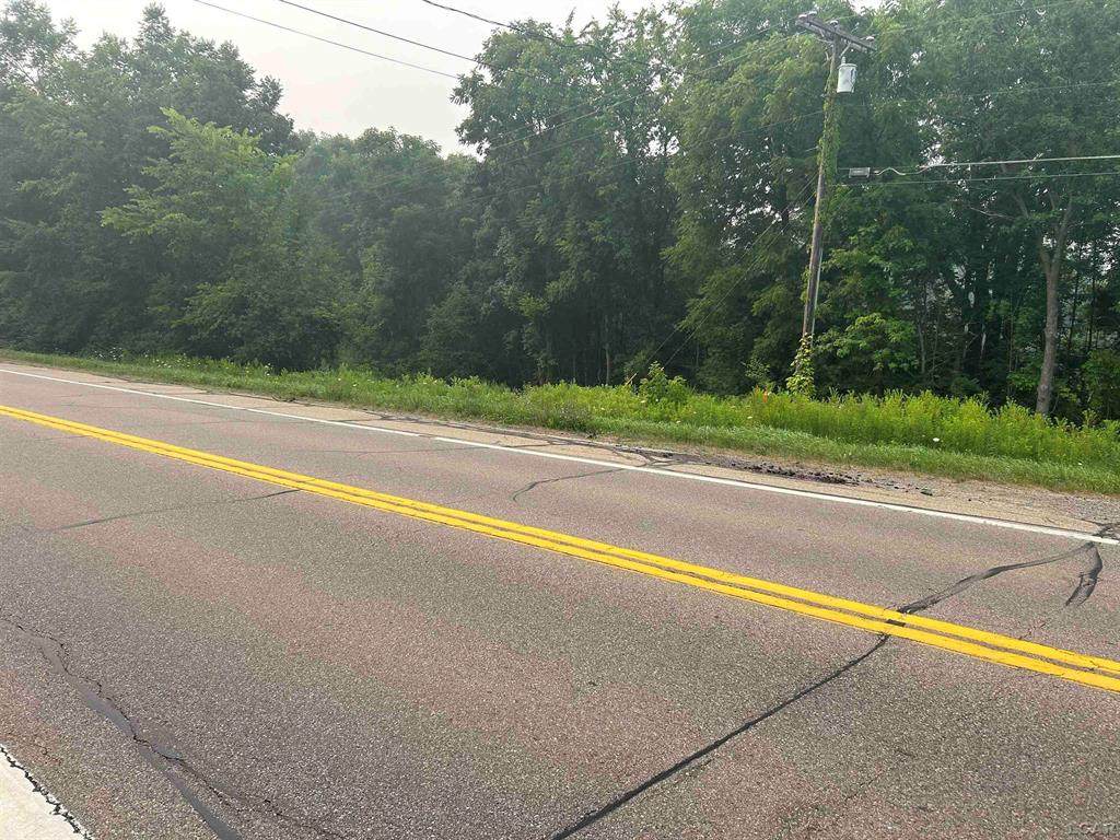  Michigan Highway - Photo 1