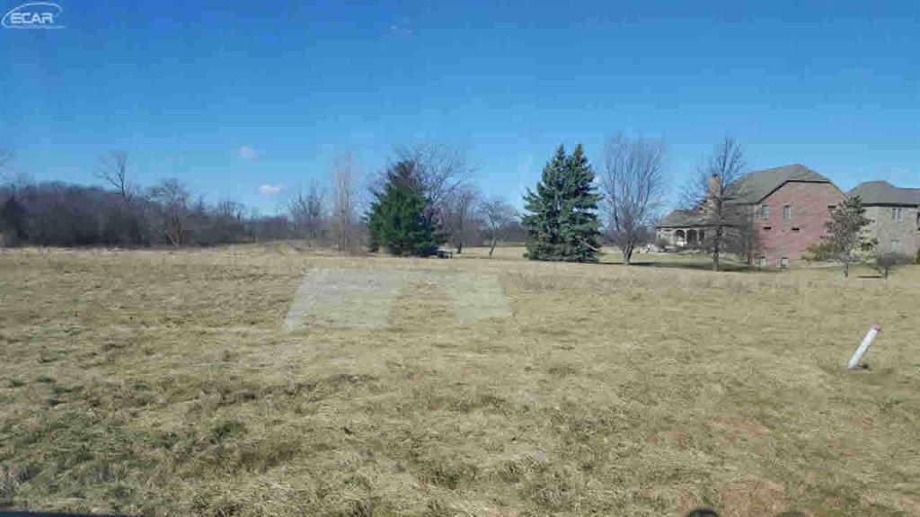 14016 Tupper Lake Drive - Photo 1