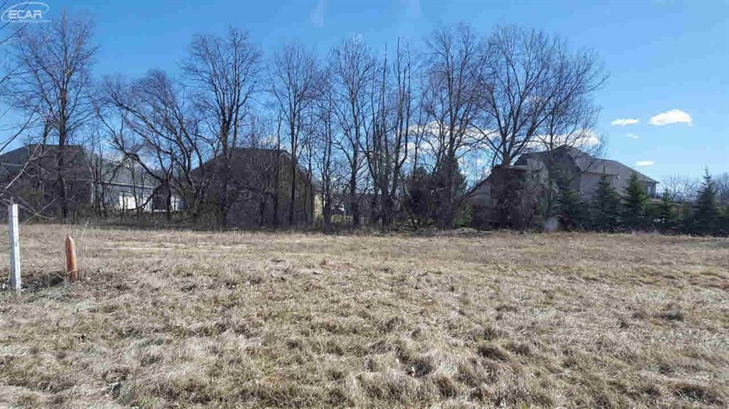 16437 Sleepy Hollow Drive - Photo 1