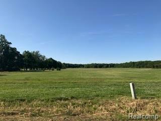 VL Smiths Creek Road - Photo 1