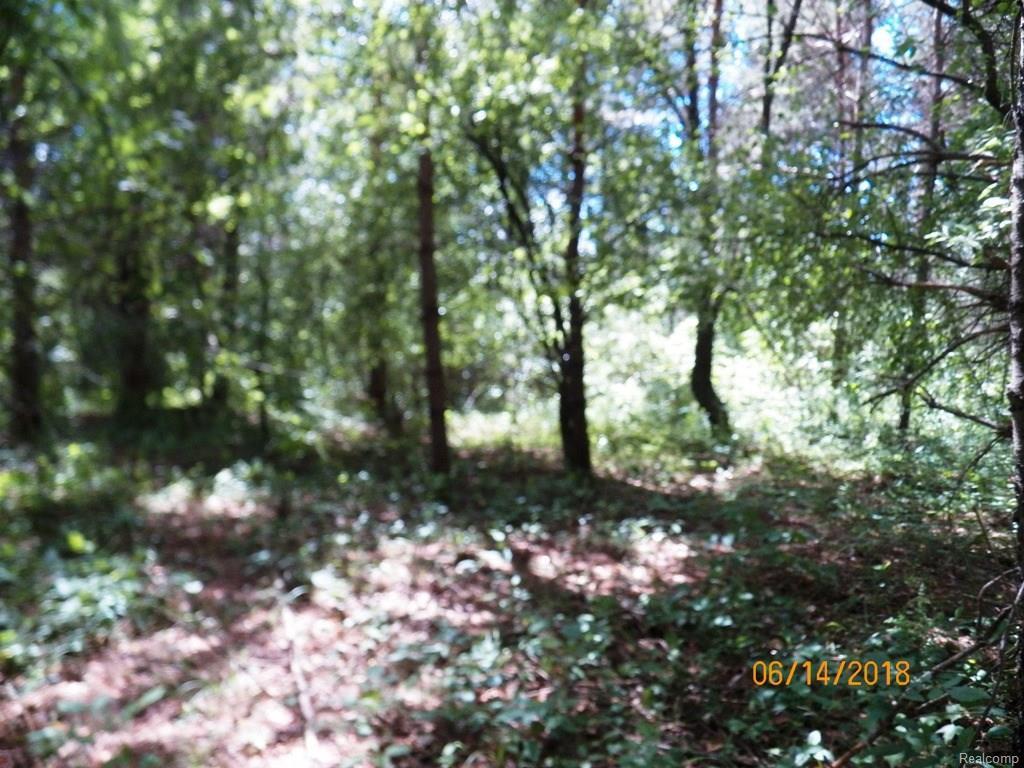 00 Deckerville - Photo 1