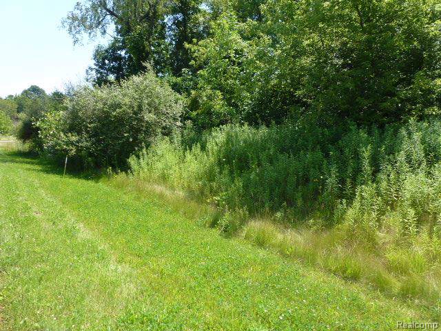 2923 Lilac Lane - Photo 1
