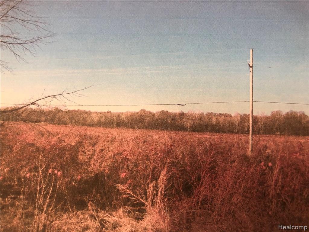 0000 Dixboro Road - Photo 1