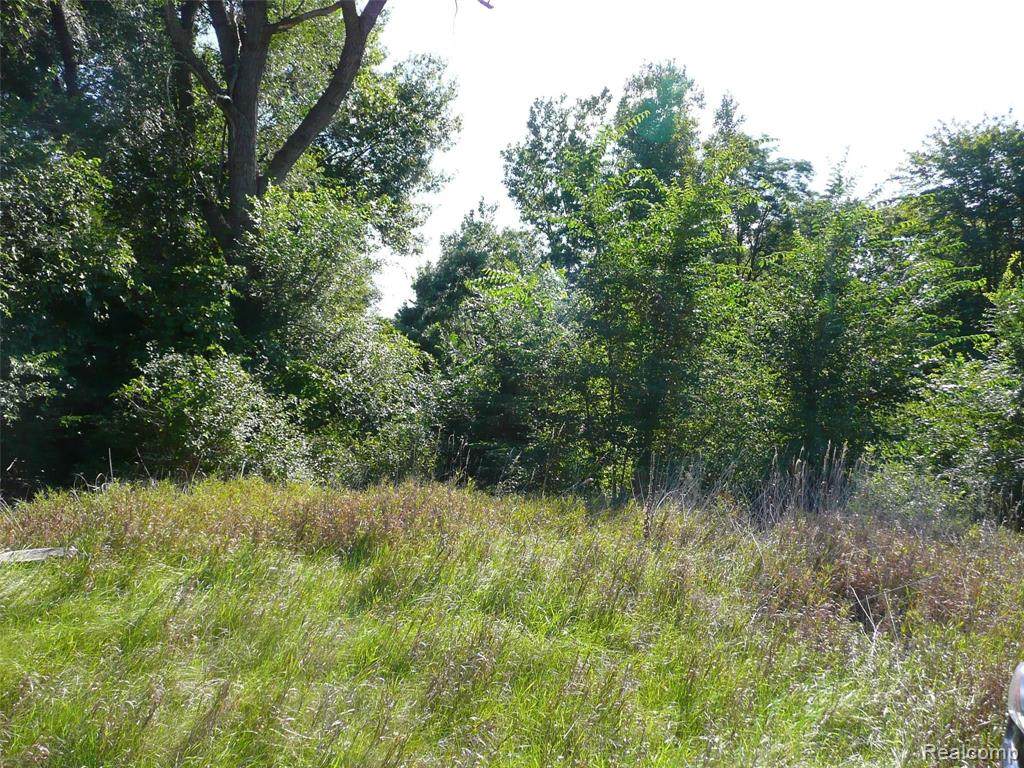 0000 Fieldcrest Road - Photo 1