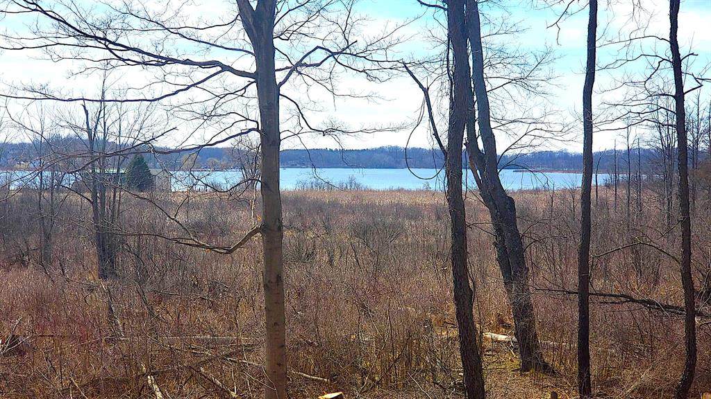 12377-A Overlook Drive - Photo 1