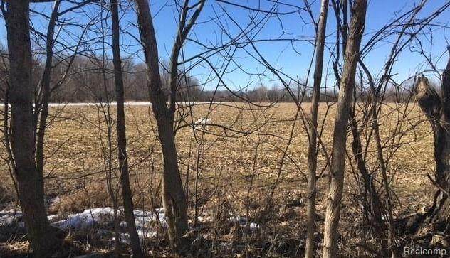 0 Cameron Rd - Photo 1