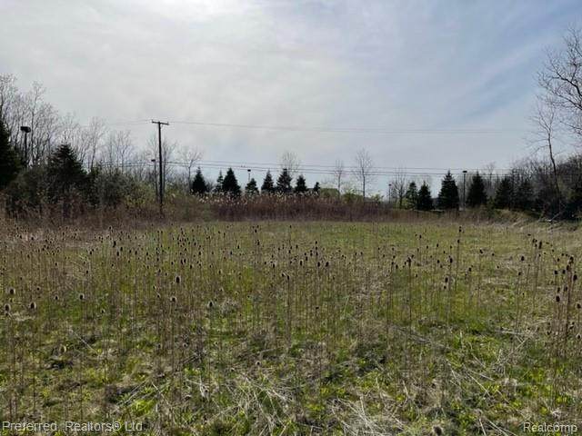 Vacant Denton - Photo 1