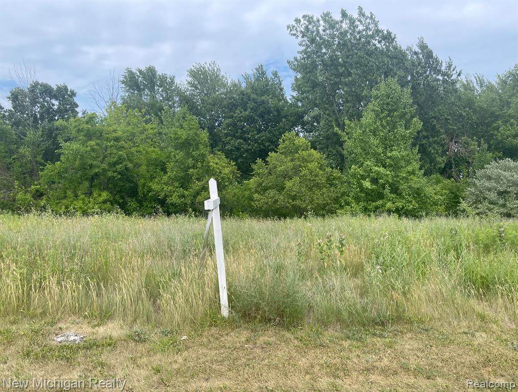 14317 Wright Drive - Photo 1