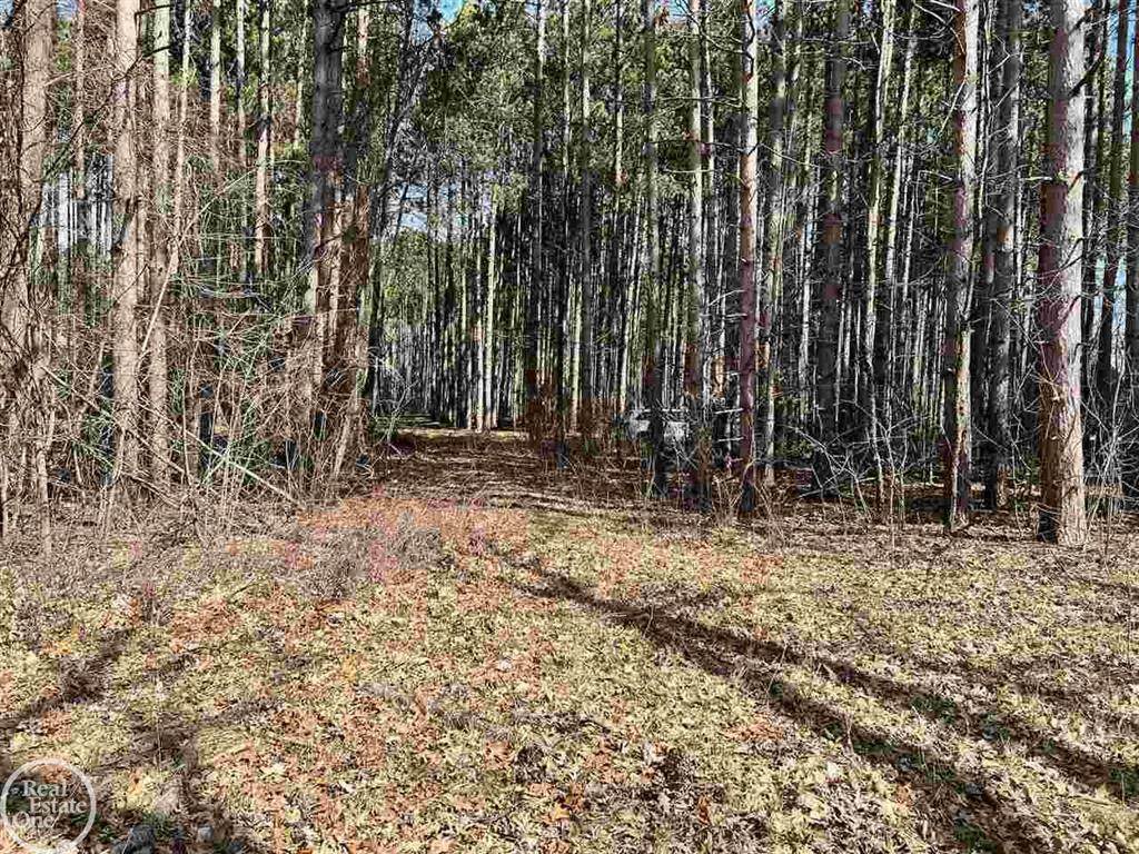 9047 Pineview River - Photo 1