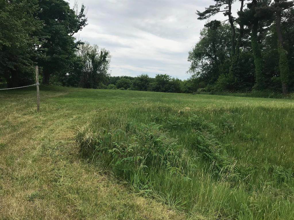 32431 M 62 - Photo 1