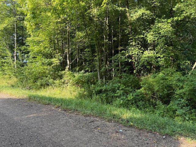 5815 Jefferson Street - Photo 1