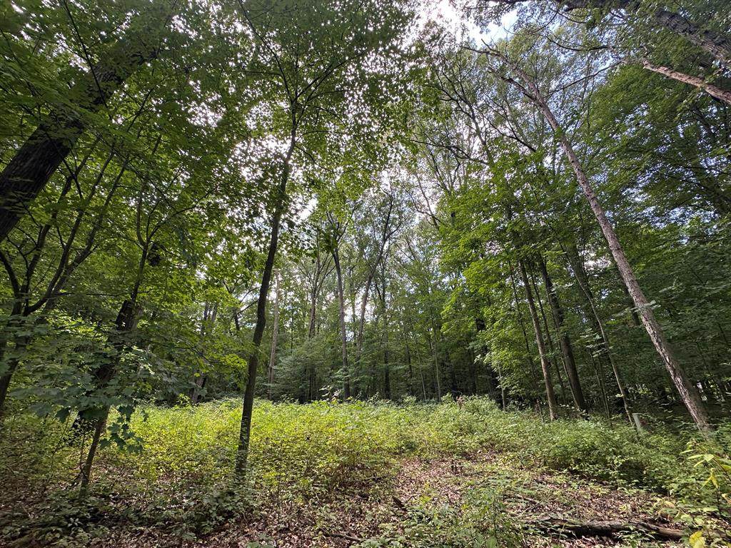 4540 Ross Drive - Photo 1