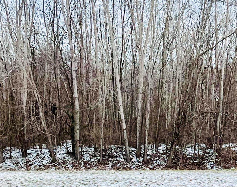 https://bt-photos.global.ssl.fastly.net/michigan/orig_boomver_4_649292041-2.jpg