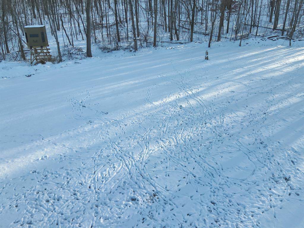 https://bt-photos.global.ssl.fastly.net/michigan/orig_boomver_1_649645023-2.jpg