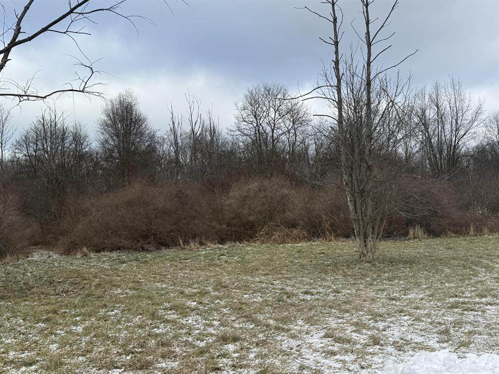 https://bt-photos.global.ssl.fastly.net/michigan/orig_boomver_5_652210793-2.jpg