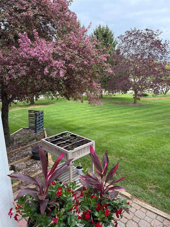 https://bt-photos.global.ssl.fastly.net/michigan/orig_boomver_4_653237856-2.jpg
