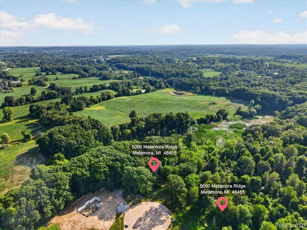 5000 Metamora Ridge - Photo 1
