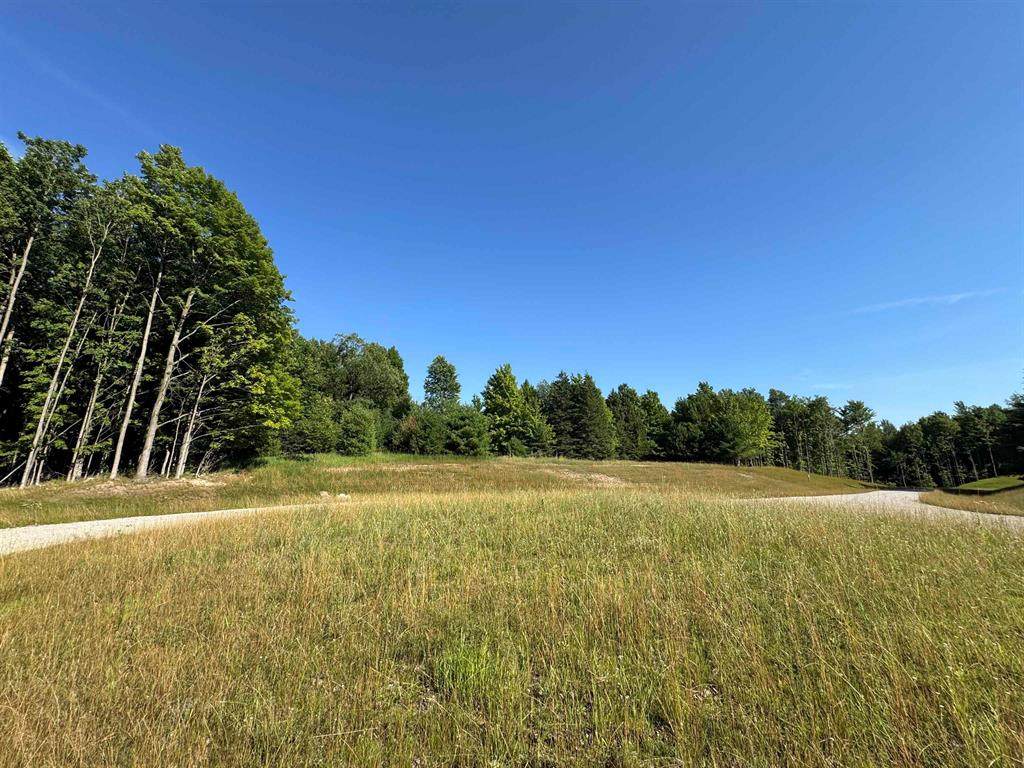Lot #6 Bellinger Road - Photo 1