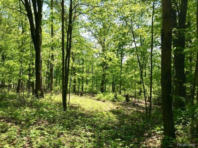 13 Winding Woods - Photo 1