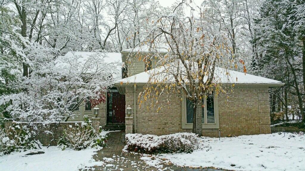 4597 Oak Tree Court - Photo 1