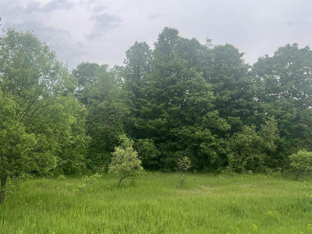 00 Wood Road, Ne - Photo 1