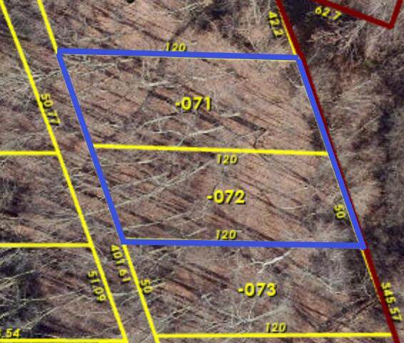 Oak Vacant Lots - Photo 1