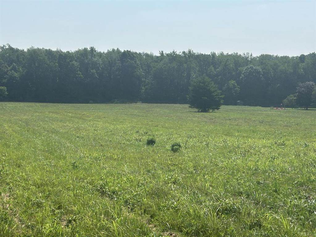 62619 Cr 365 Road - Photo 1