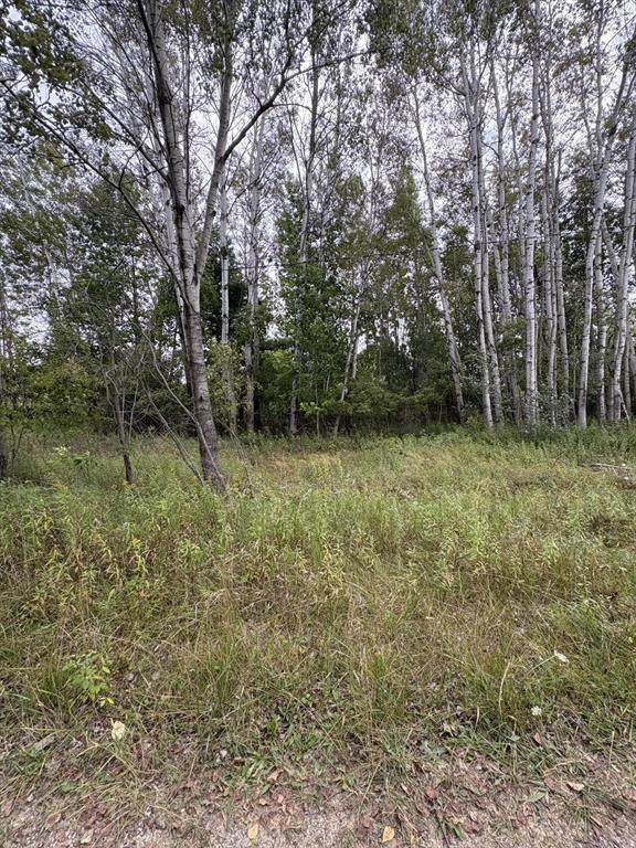  Coocpa- Lake Miramachi - Photo 1