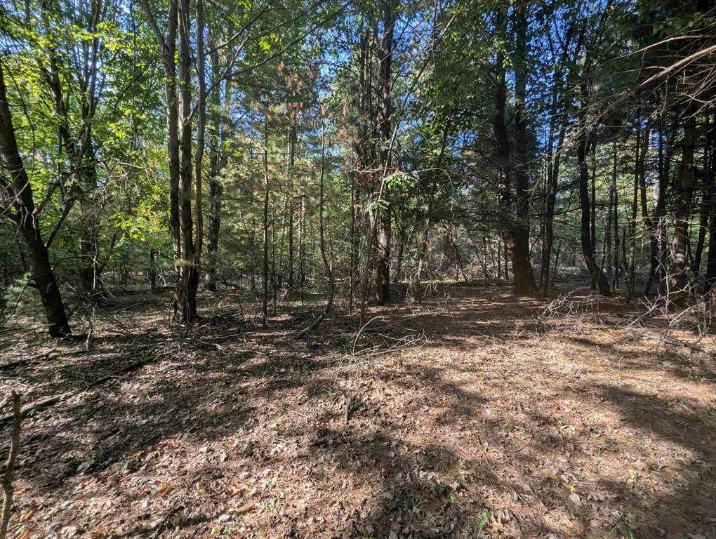 N/A Forest Lake Drive - Photo 1