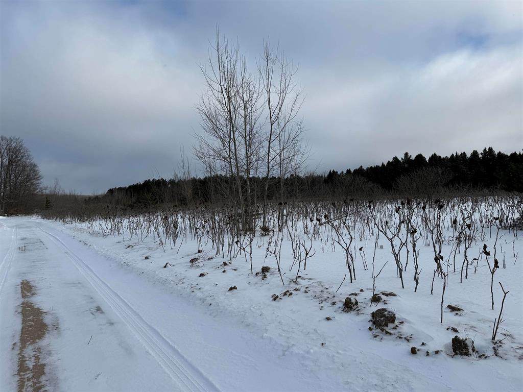 VL Houghton Lake Road - Photo 1