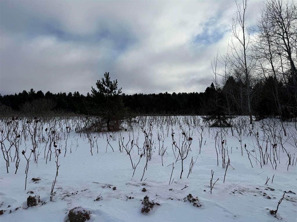 https://bt-photos.global.ssl.fastly.net/michigan/orig_boomver_5_649277725-2.jpg