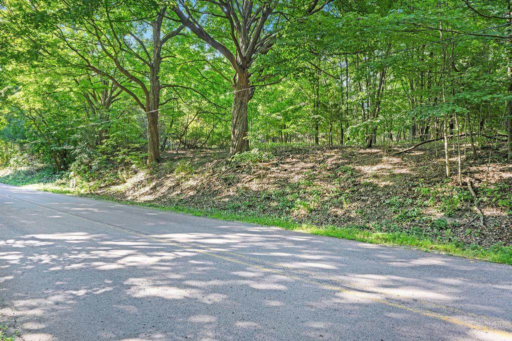 V/L 56th Avenue - Photo 1