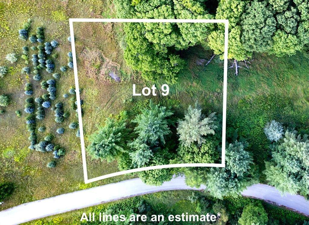 Lot #9 Kadi Lane - Photo 1