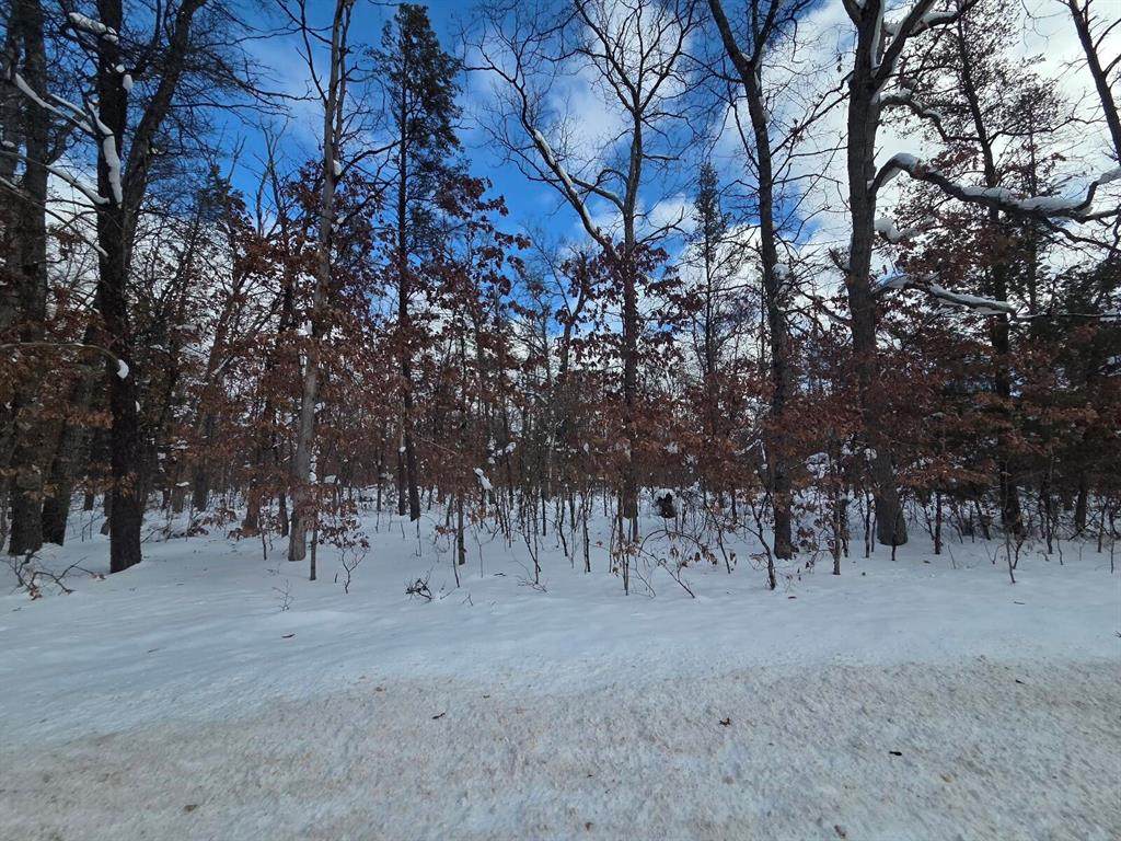 V/L Astor Rd. - Photo 1