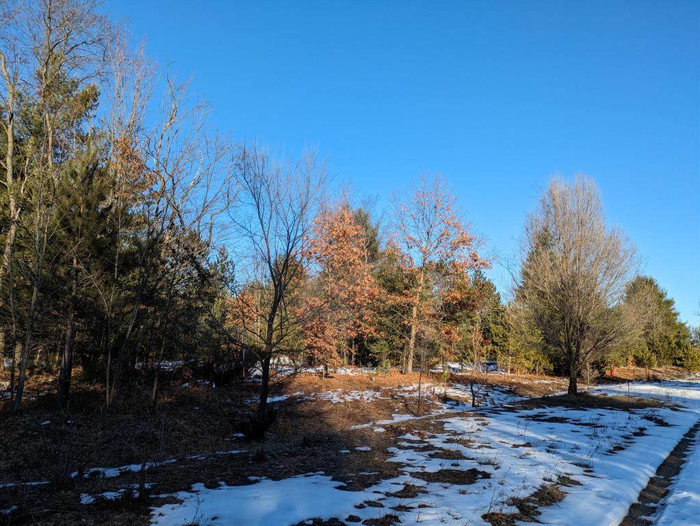  Bergstrom Drive - Photo 1