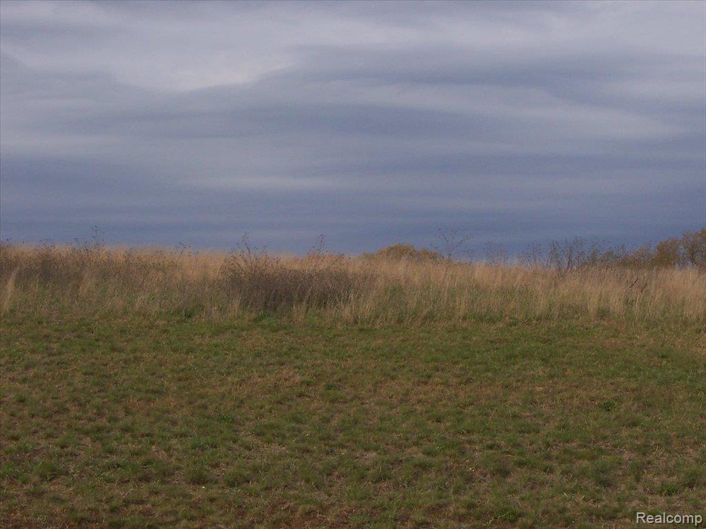 U 15 Iosco Ridge - Photo 1