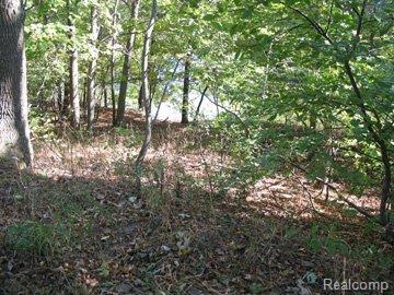 9773 Whispering Pines - Photo 1