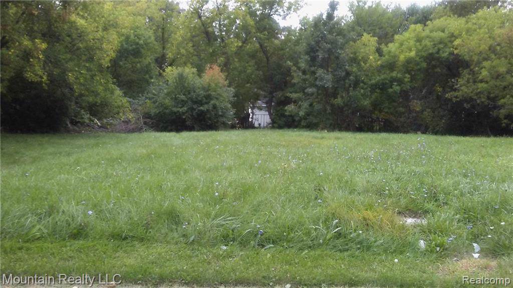 00 Midway Avenue - Photo 1