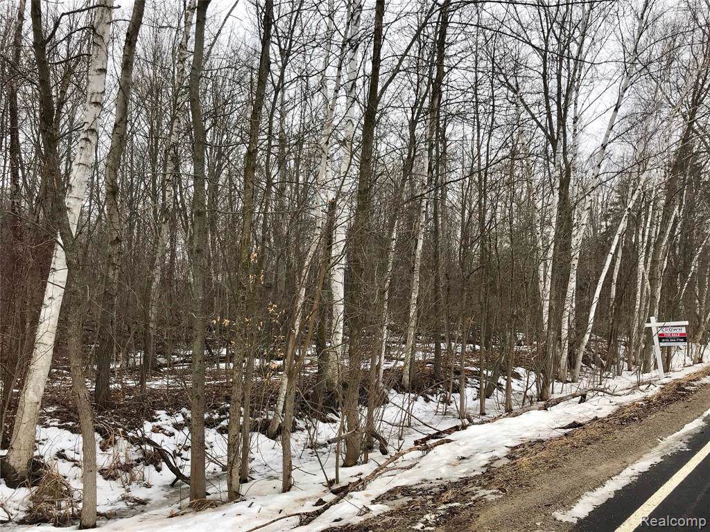 0 Willard Road - Photo 1