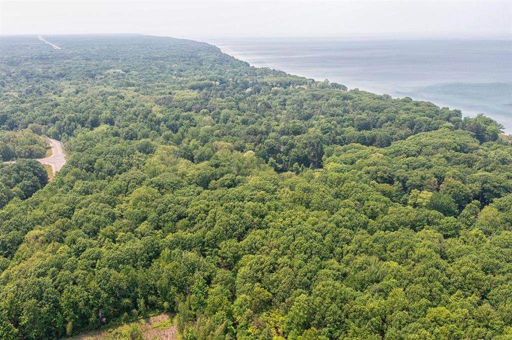 2436 Lakeshore Dr. - Photo 1