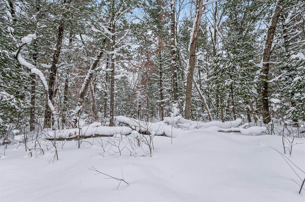 https://bt-photos.global.ssl.fastly.net/michigan/orig_boomver_6_650786585-2.jpg
