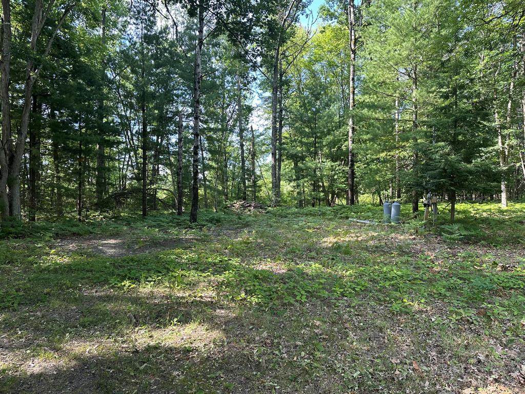 https://bt-photos.global.ssl.fastly.net/michigan/orig_boomver_4_663533371-2.jpg
