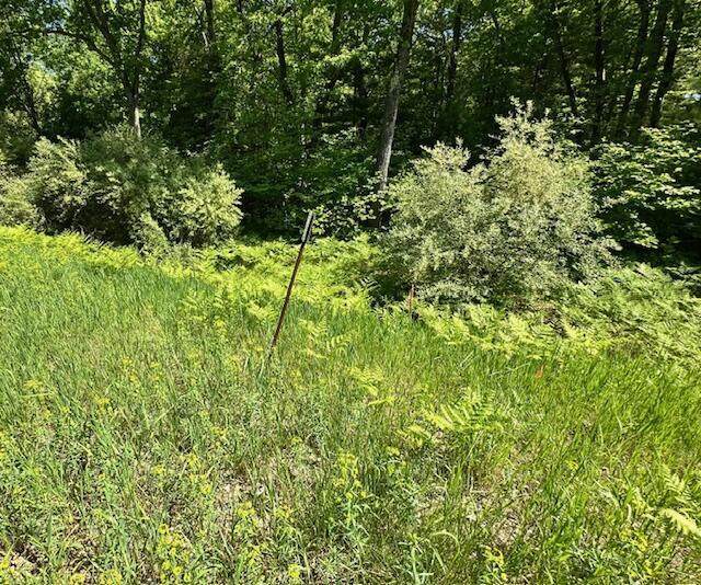 Par A 15 Mile Road - Photo 1