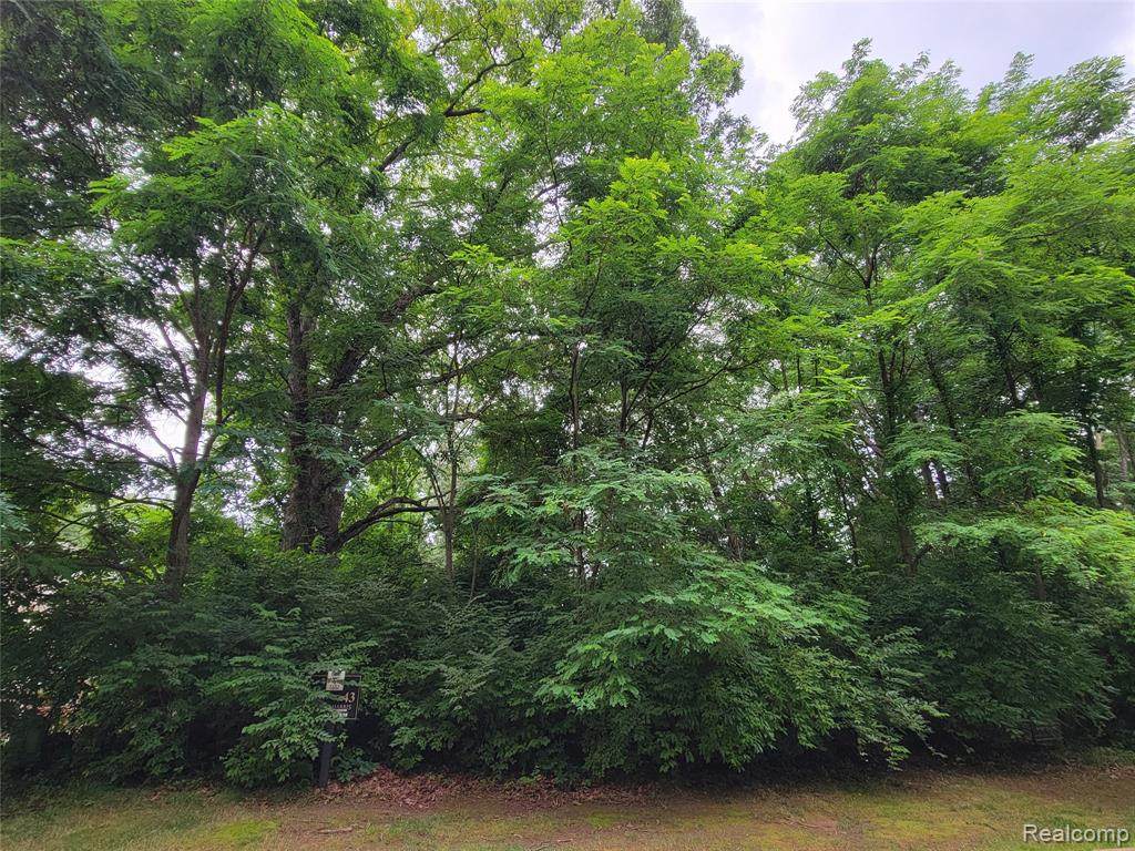 Lot 43 - Pinemont - Photo 1