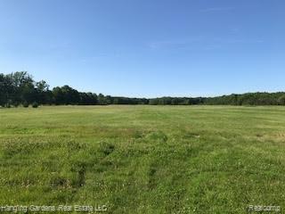 VL Smiths Creek Road - Photo 1