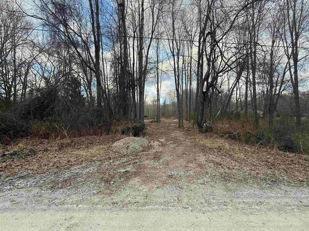 6136 High Road - Photo 1