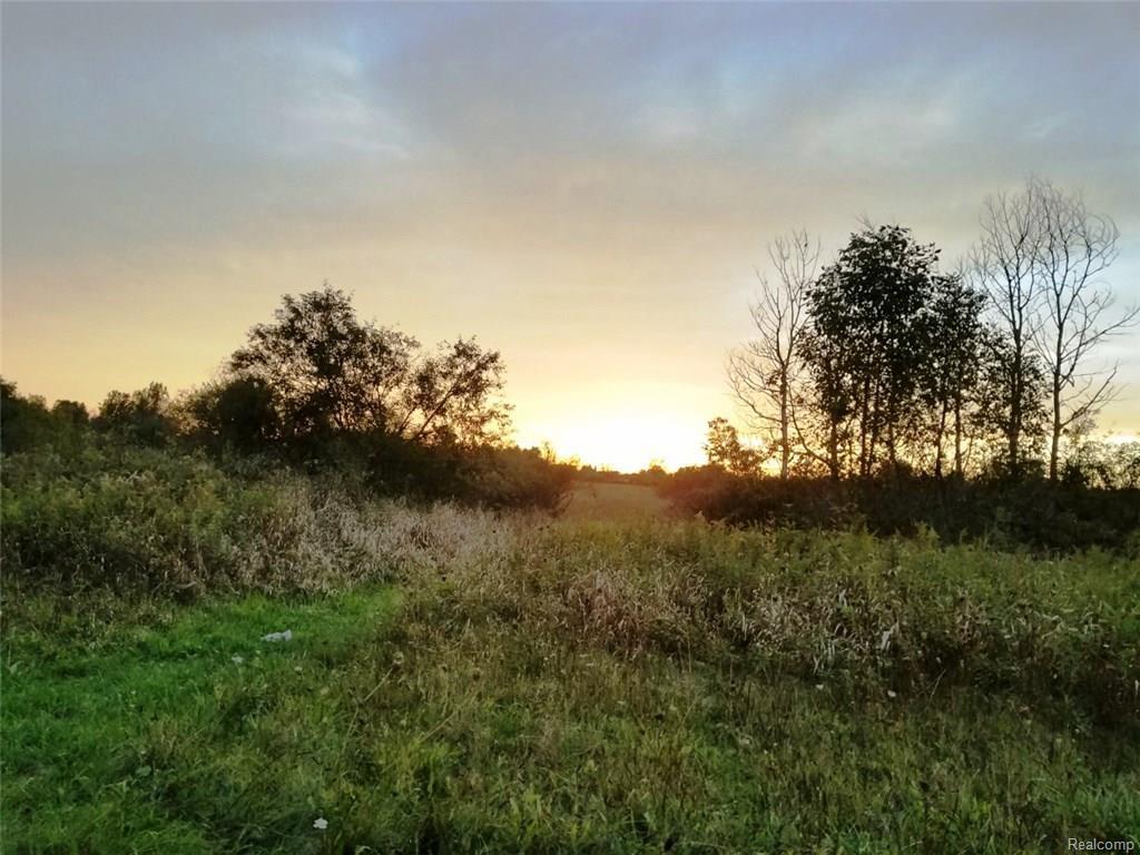 00 Sharp Road - Photo 1