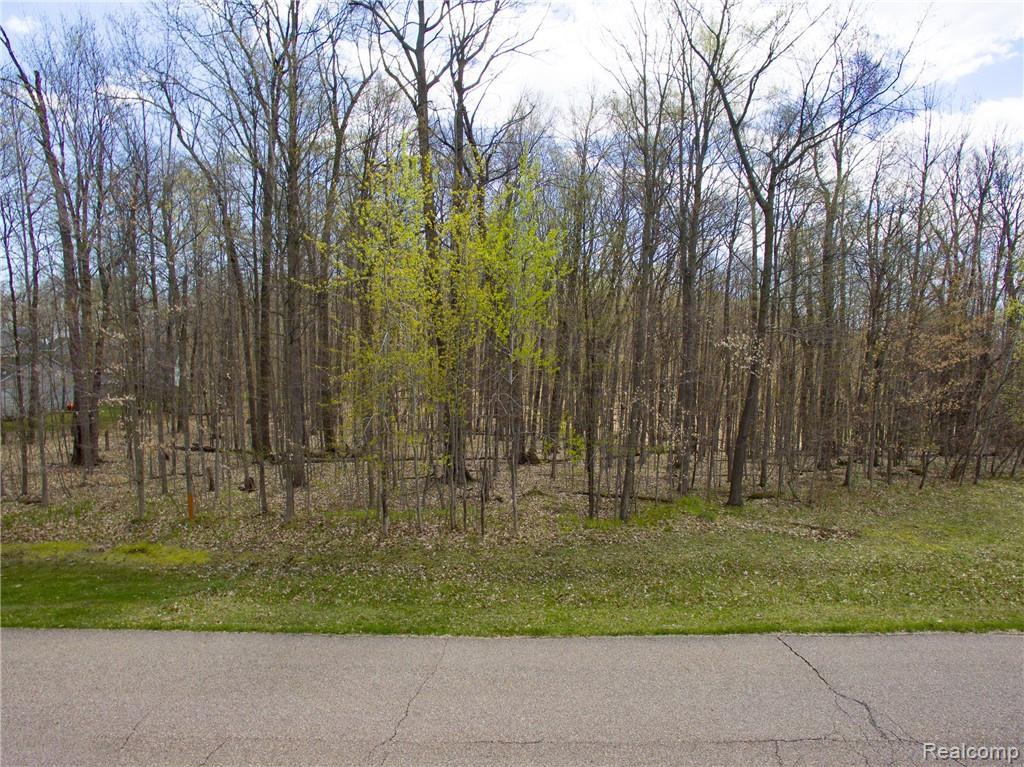 Lot 23 Belle Ridge Court - Photo 1