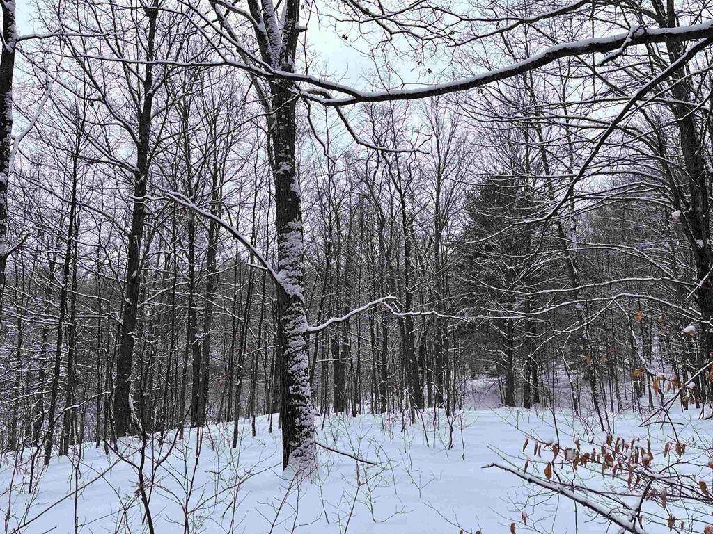 https://bt-photos.global.ssl.fastly.net/michigan/orig_boomver_3_649377154-2.jpg