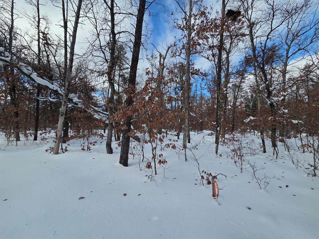 https://bt-photos.global.ssl.fastly.net/michigan/orig_boomver_8_651250777-2.jpg